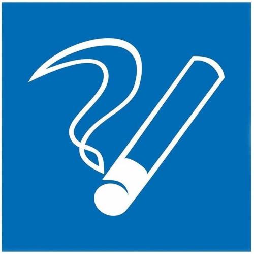 знак информационный место курения 200*200мм REXANT 56-0033