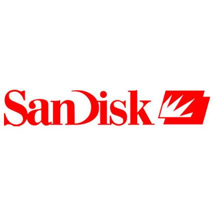 флэш диск 64Gb SAN DISK 3.0 Type-C