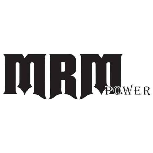 Флэш диск 4Gb MRM-Power